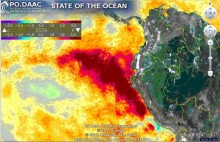 Sea Surface Temperature Anomalies (SSTA) in the eastern Pacific on May 7, 2012. 
